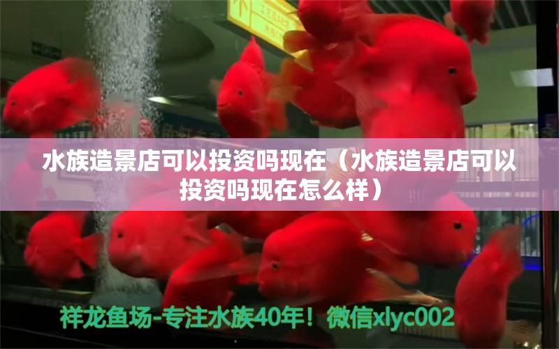 水族造景店可以投資嗎現(xiàn)在（水族造景店可以投資嗎現(xiàn)在怎么樣）