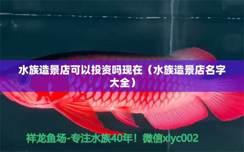 水族造景店可以投資嗎現(xiàn)在（水族造景店名字大全）