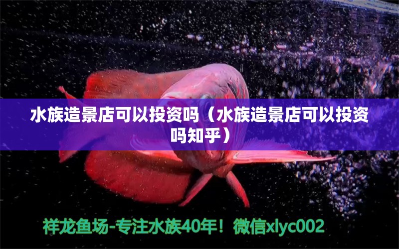 水族造景店可以投資嗎（水族造景店可以投資嗎知乎）