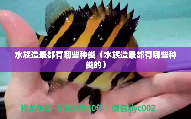 水族造景都有哪些種類(lèi)（水族造景都有哪些種類(lèi)的）