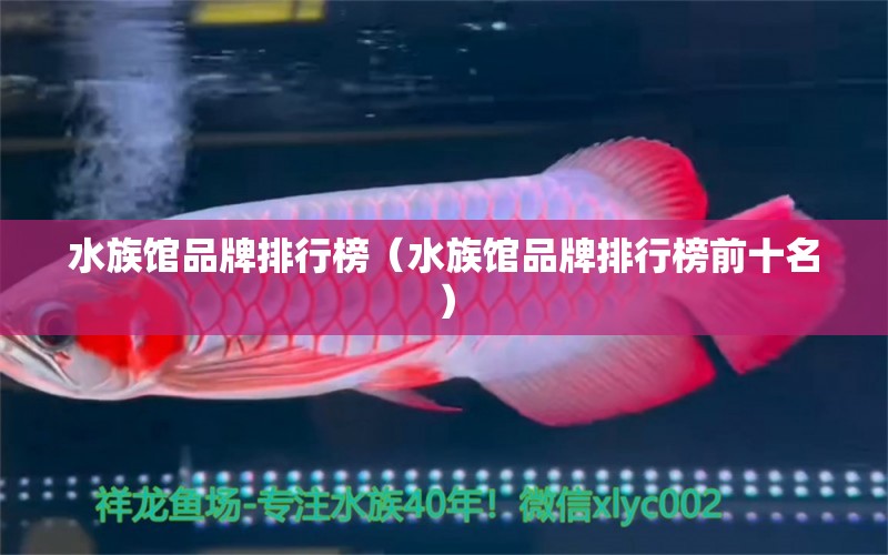 水族館品牌排行榜（水族館品牌排行榜前十名） 其他品牌魚缸