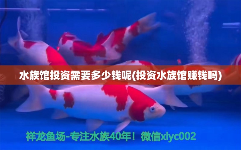 水族館投資需要多少錢呢(投資水族館賺錢嗎) iwish愛唯希品牌魚缸