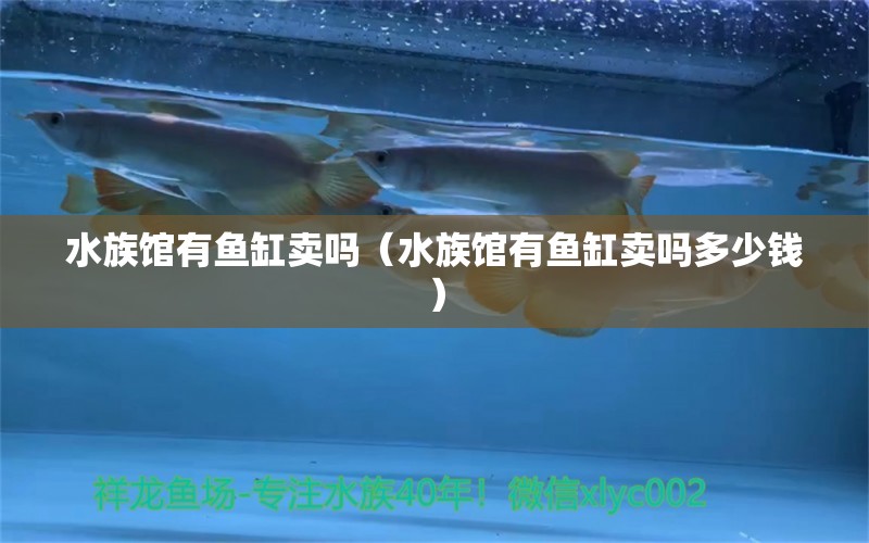 水族館有魚缸賣嗎（水族館有魚缸賣嗎多少錢）