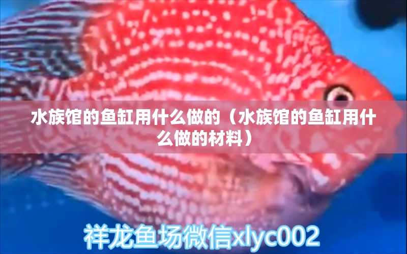 水族館的魚缸用什么做的（水族館的魚缸用什么做的材料） 溫控設(shè)備