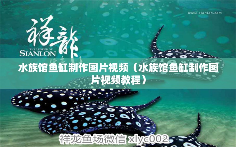 水族館魚(yú)缸制作圖片視頻（水族館魚(yú)缸制作圖片視頻教程）