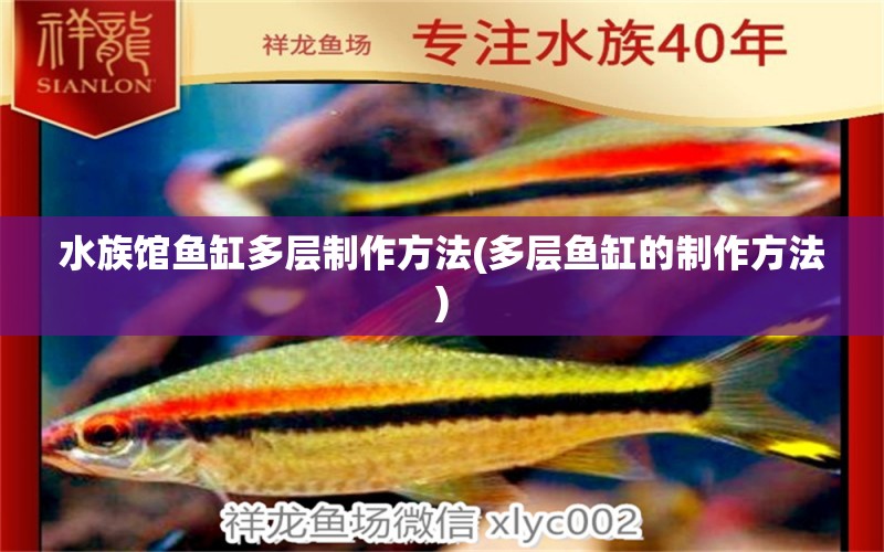 水族館魚缸多層制作方法(多層魚缸的制作方法) 定時(shí)器/自控系統(tǒng) 第1張