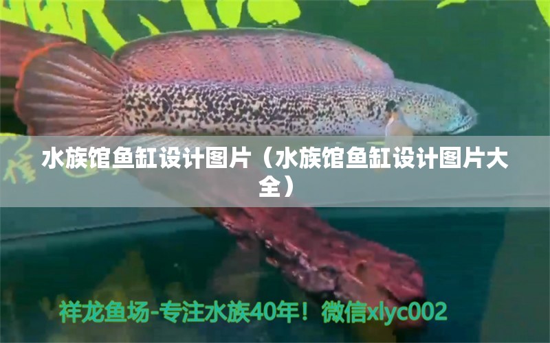 水族館魚缸設(shè)計圖片（水族館魚缸設(shè)計圖片大全） 紅白錦鯉魚