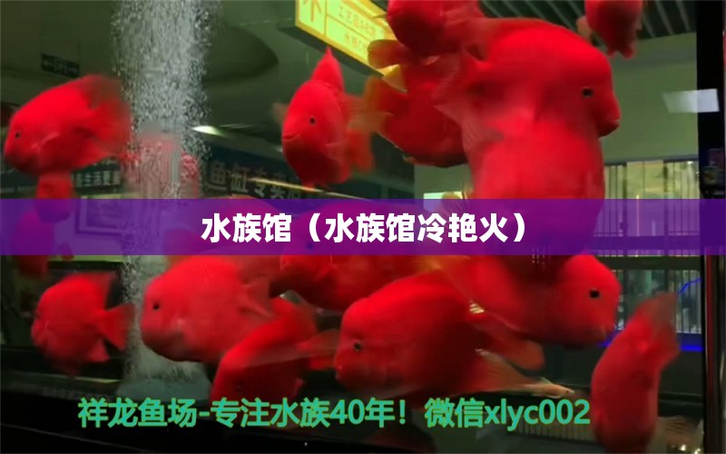 水族館（水族館冷艷火） 全國水族館企業(yè)名錄