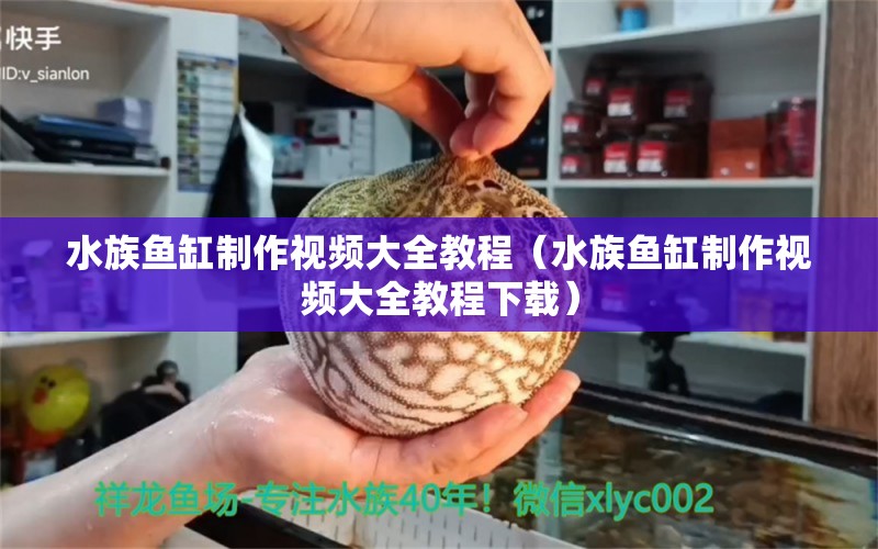 水族魚缸制作視頻大全教程（水族魚缸制作視頻大全教程下載） 祥龍水族醫(yī)院