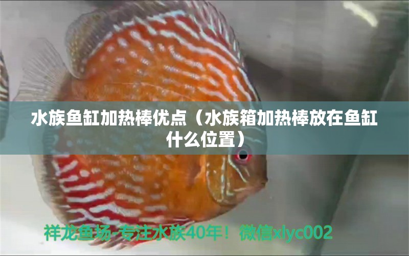 水族魚缸加熱棒優(yōu)點（水族箱加熱棒放在魚缸什么位置） 魚缸/水族箱