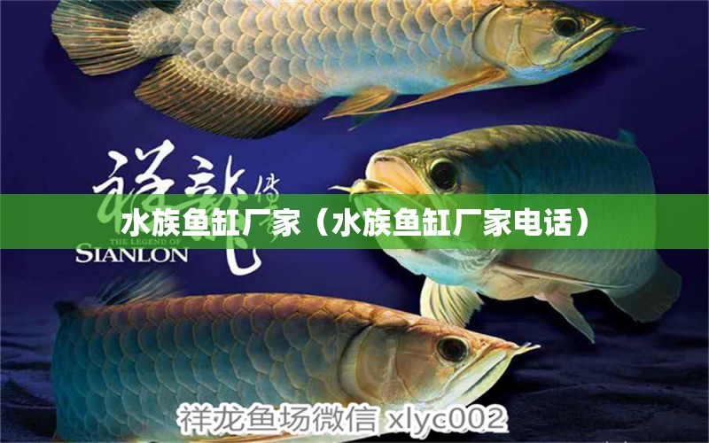 水族魚缸廠家（水族魚缸廠家電話） 羅漢魚