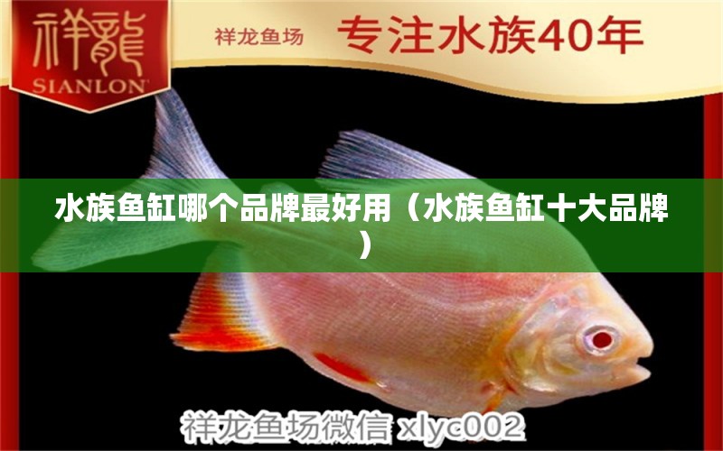 水族魚缸哪個品牌最好用（水族魚缸十大品牌） 泰國虎魚