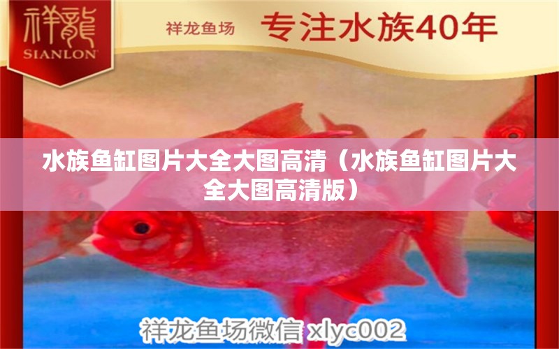 水族魚缸圖片大全大圖高清（水族魚缸圖片大全大圖高清版）