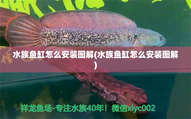 水族魚缸怎么安裝圖解(水族魚缸怎么安裝圖解) 虎魚百科