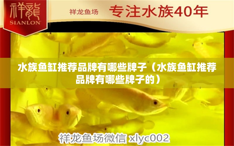 水族魚缸推薦品牌有哪些牌子（水族魚缸推薦品牌有哪些牌子的）