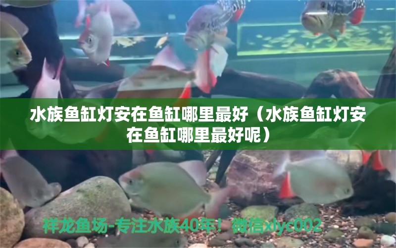 水族魚缸燈安在魚缸哪里最好（水族魚缸燈安在魚缸哪里最好呢）