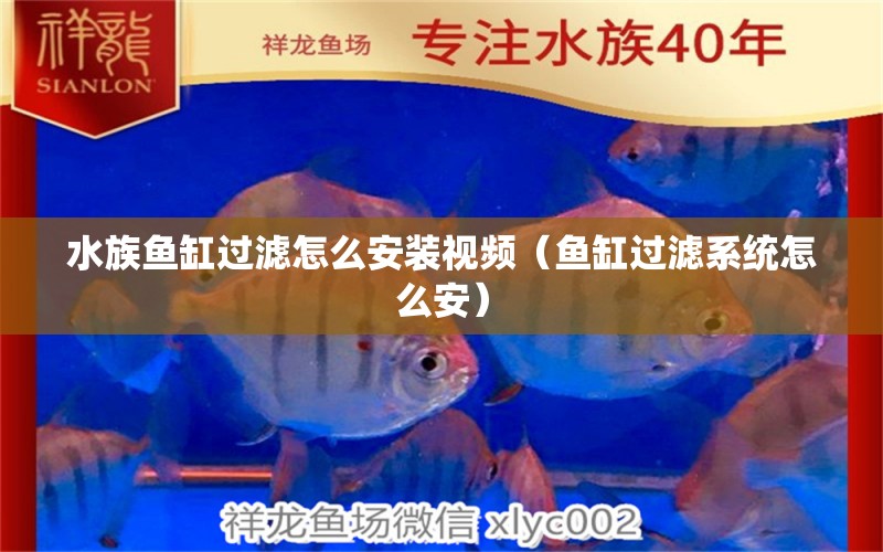 水族魚缸過濾怎么安裝視頻（魚缸過濾系統(tǒng)怎么安）