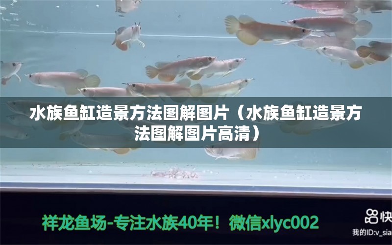 水族魚(yú)缸造景方法圖解圖片（水族魚(yú)缸造景方法圖解圖片高清） 羅漢魚(yú)