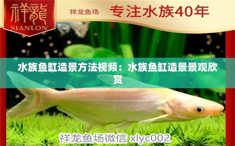 水族魚缸造景方法視頻：水族魚缸造景景觀欣賞 養(yǎng)魚的好處