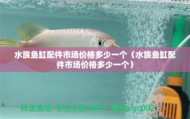 水族魚缸配件市場價(jià)格多少一個(gè)（水族魚缸配件市場價(jià)格多少一個(gè)） B級(jí)過背金龍魚