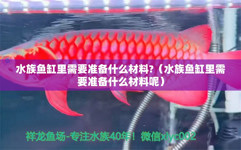 水族魚缸里需要準(zhǔn)備什么材料?（水族魚缸里需要準(zhǔn)備什么材料呢）