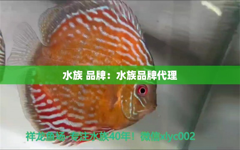 水族 品牌：水族品牌代理