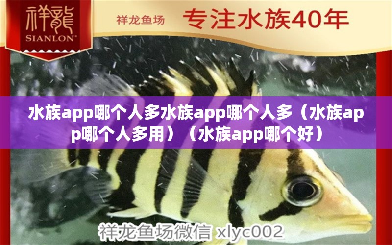 水族app哪個(gè)人多水族app哪個(gè)人多（水族app哪個(gè)人多用）（水族app哪個(gè)好）