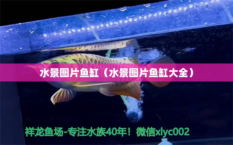 水景圖片魚(yú)缸（水景圖片魚(yú)缸大全） 祥龍水族醫(yī)院