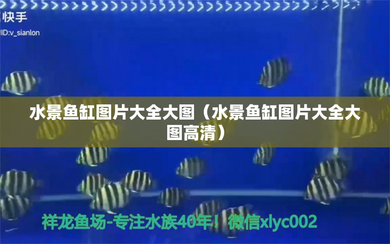 水景魚(yú)缸圖片大全大圖（水景魚(yú)缸圖片大全大圖高清）