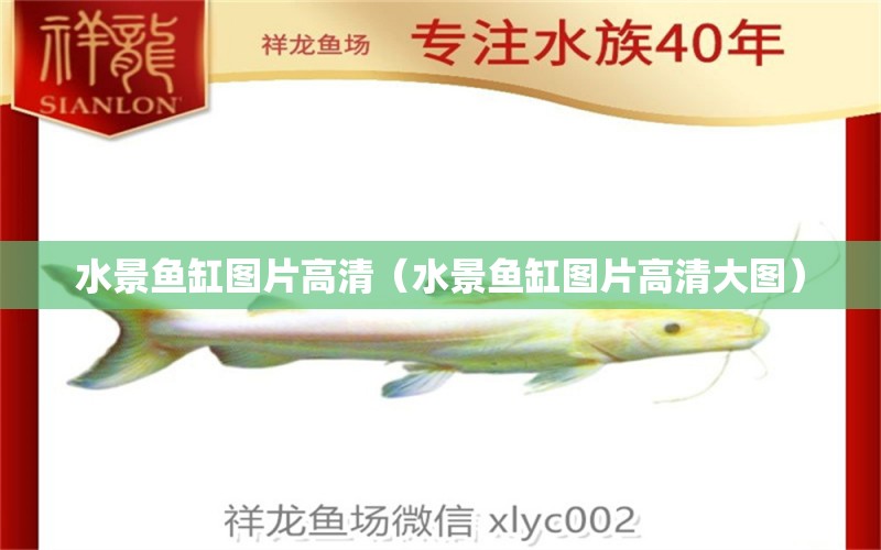 水景魚(yú)缸圖片高清（水景魚(yú)缸圖片高清大圖）