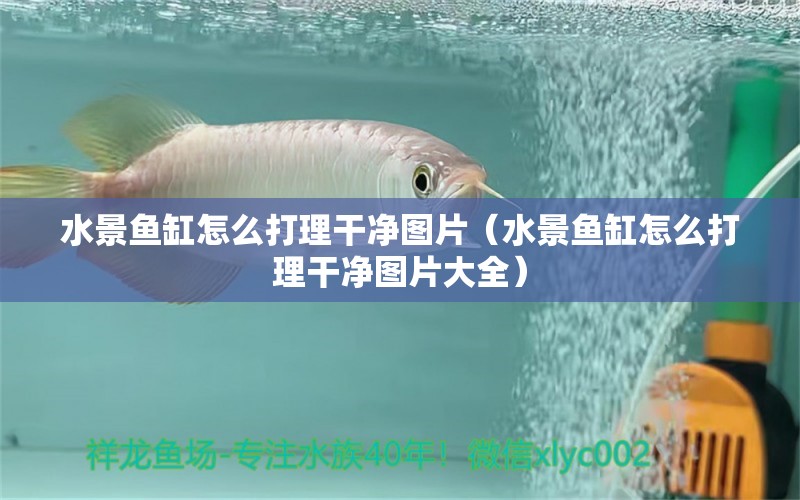 水景魚(yú)缸怎么打理干凈圖片（水景魚(yú)缸怎么打理干凈圖片大全）