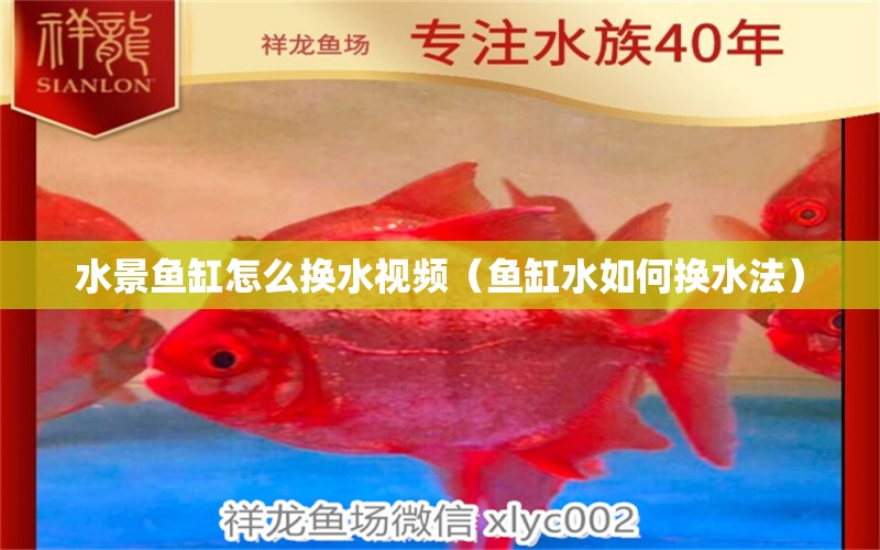 水景魚(yú)缸怎么換水視頻（魚(yú)缸水如何換水法） 蝴蝶鯉魚(yú)苗