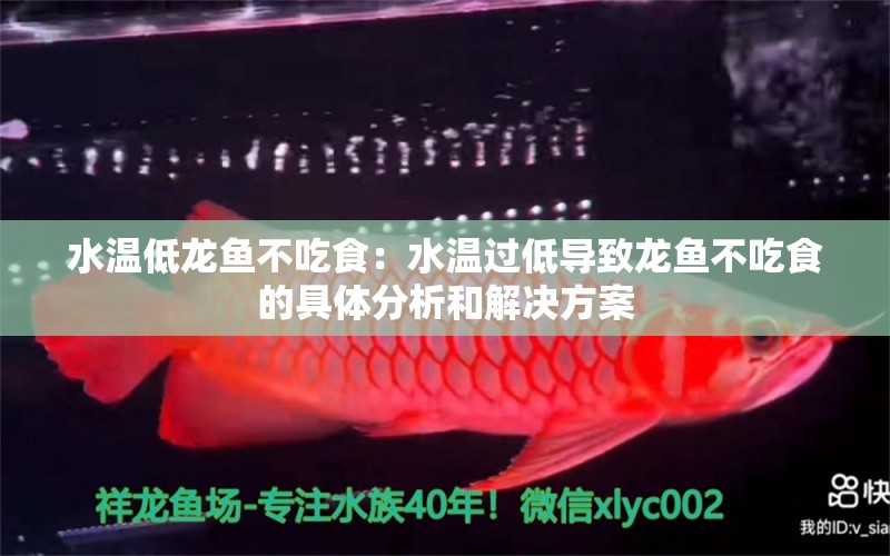 水溫低龍魚不吃食：水溫過低導致龍魚不吃食的具體分析和解決方案 龍魚百科 第2張