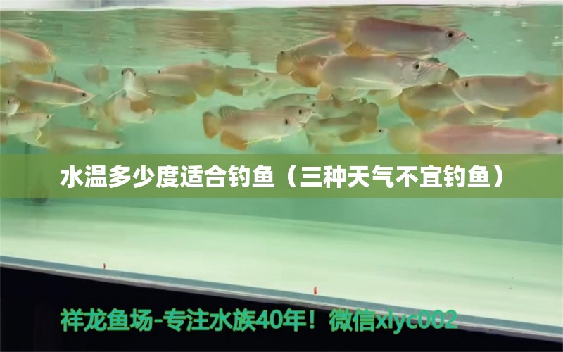 水溫多少度適合釣魚（三種天氣不宜釣魚） 垂釣樂園