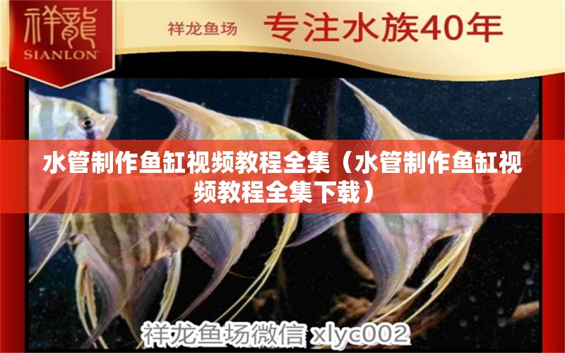 水管制作魚缸視頻教程全集（水管制作魚缸視頻教程全集下載）