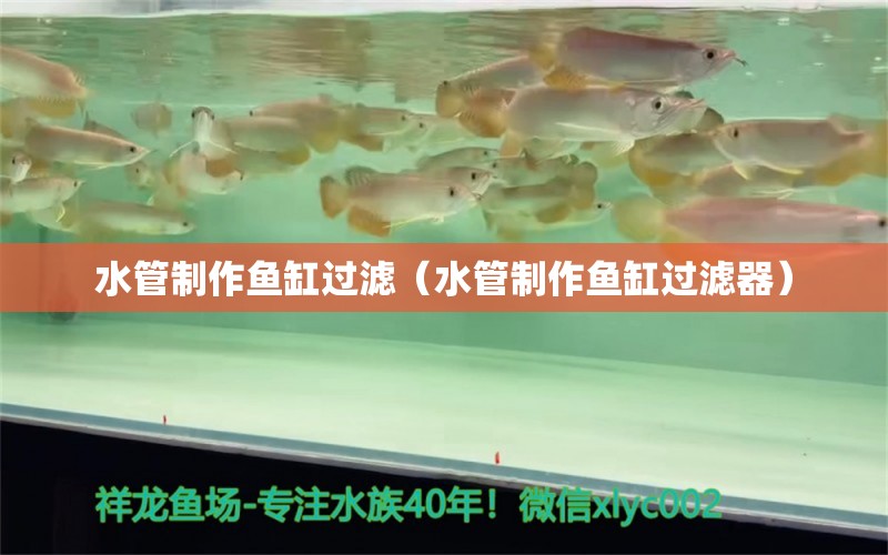 水管制作魚缸過濾（水管制作魚缸過濾器） 黑白雙星