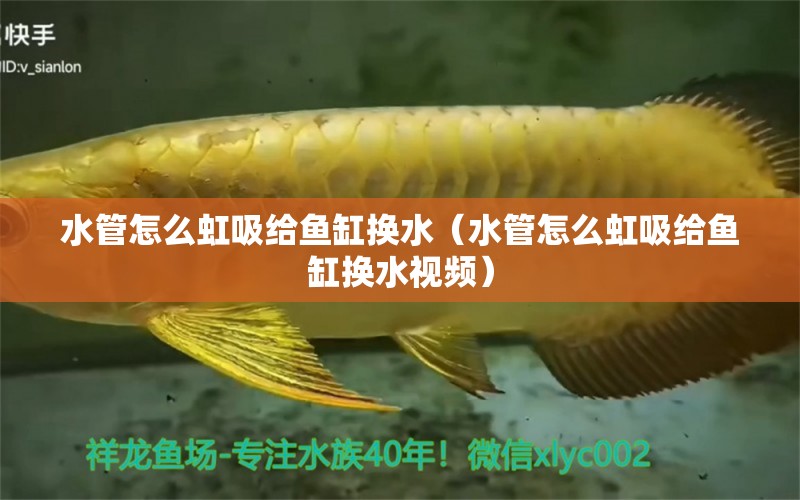 水管怎么虹吸給魚缸換水（水管怎么虹吸給魚缸換水視頻）