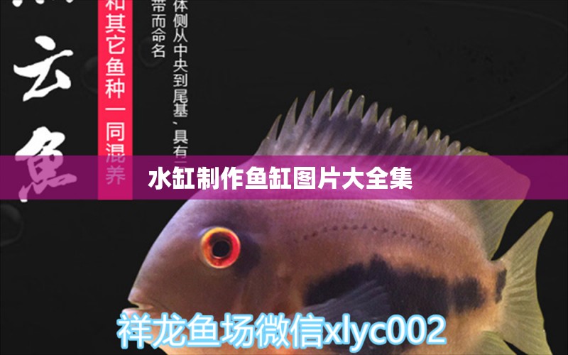 水缸制作魚缸圖片大全集 