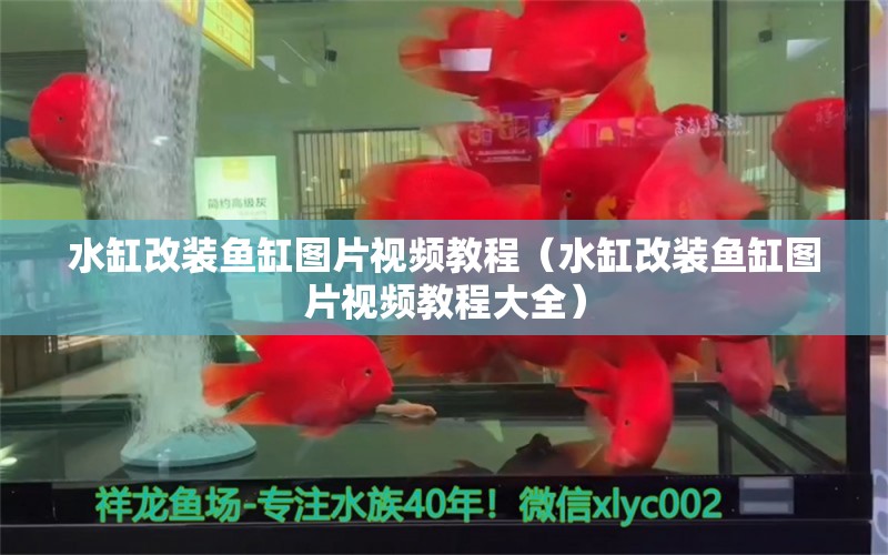 水缸改裝魚缸圖片視頻教程（水缸改裝魚缸圖片視頻教程大全） 祥龍水族醫(yī)院