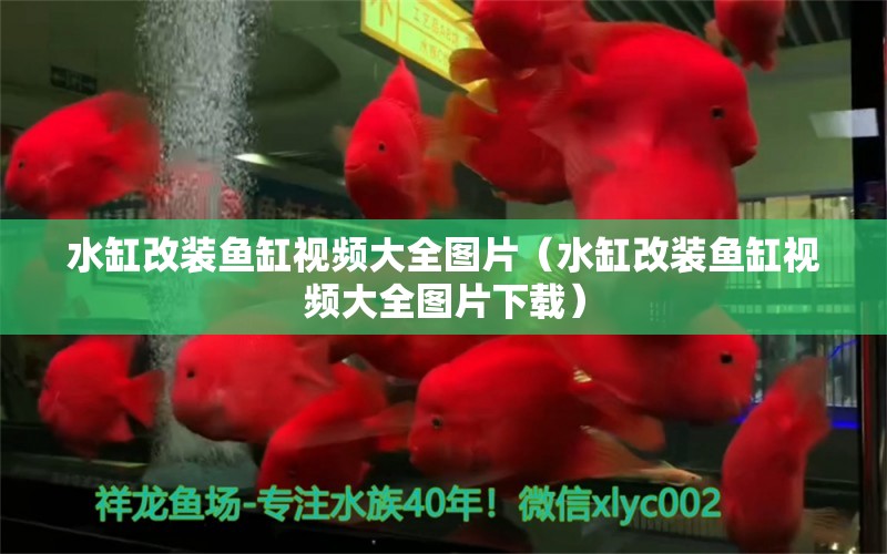 水缸改裝魚缸視頻大全圖片（水缸改裝魚缸視頻大全圖片下載）