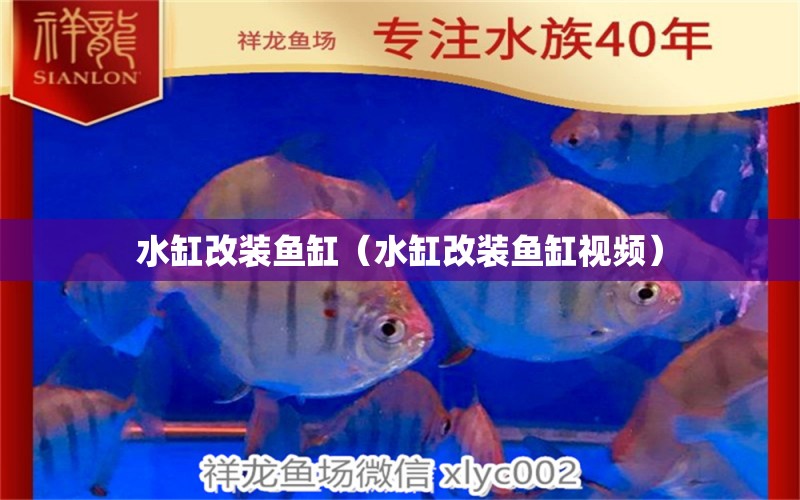 水缸改裝魚缸（水缸改裝魚缸視頻）