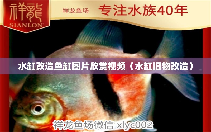 水缸改造魚缸圖片欣賞視頻（水缸舊物改造）