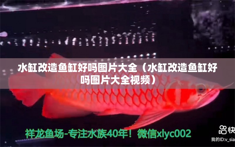 水缸改造魚缸好嗎圖片大全（水缸改造魚缸好嗎圖片大全視頻）