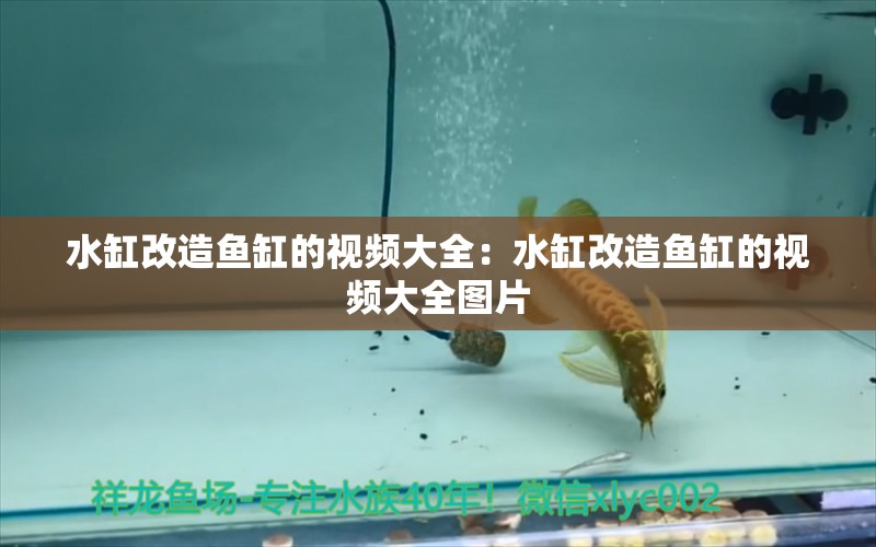 水缸改造魚缸的視頻大全：水缸改造魚缸的視頻大全圖片