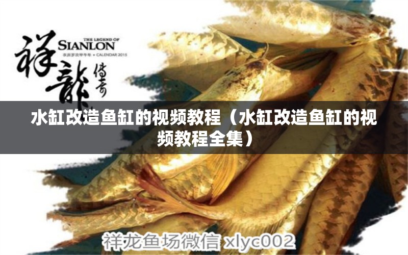 水缸改造魚缸的視頻教程（水缸改造魚缸的視頻教程全集） 祥龍水族醫(yī)院