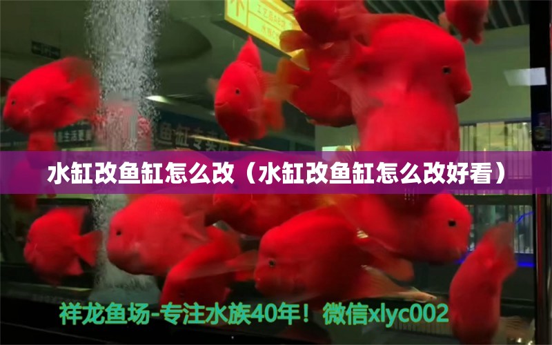 水缸改魚缸怎么改（水缸改魚缸怎么改好看）