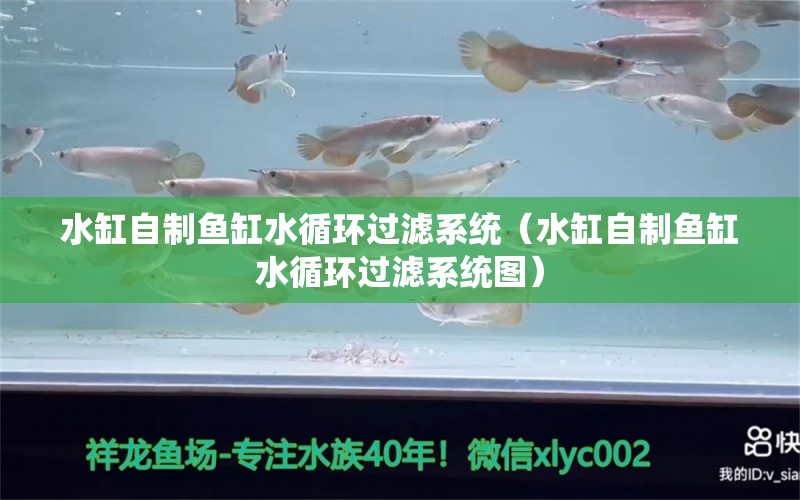 水缸自制魚缸水循環(huán)過濾系統(tǒng)（水缸自制魚缸水循環(huán)過濾系統(tǒng)圖）