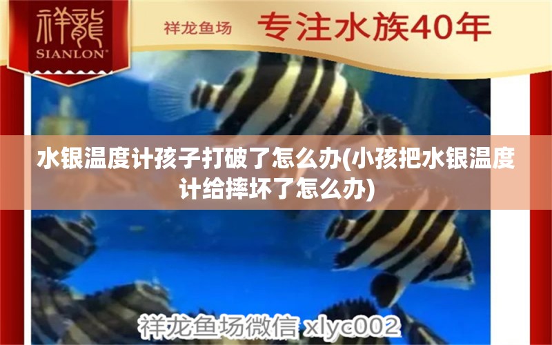 水銀溫度計孩子打破了怎么辦(小孩把水銀溫度計給摔壞了怎么辦)