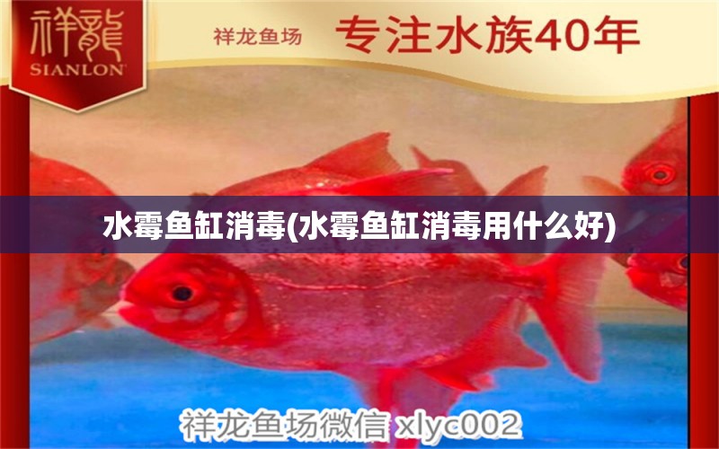 水霉魚缸消毒(水霉魚缸消毒用什么好)