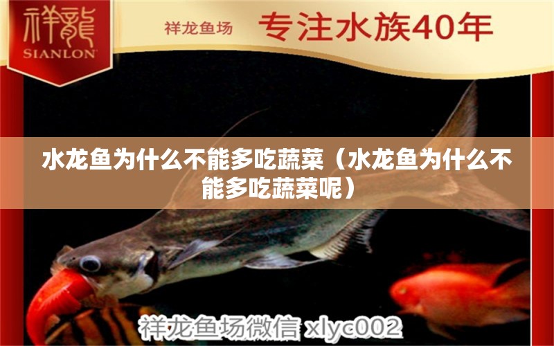 水龍魚(yú)為什么不能多吃蔬菜（水龍魚(yú)為什么不能多吃蔬菜呢）